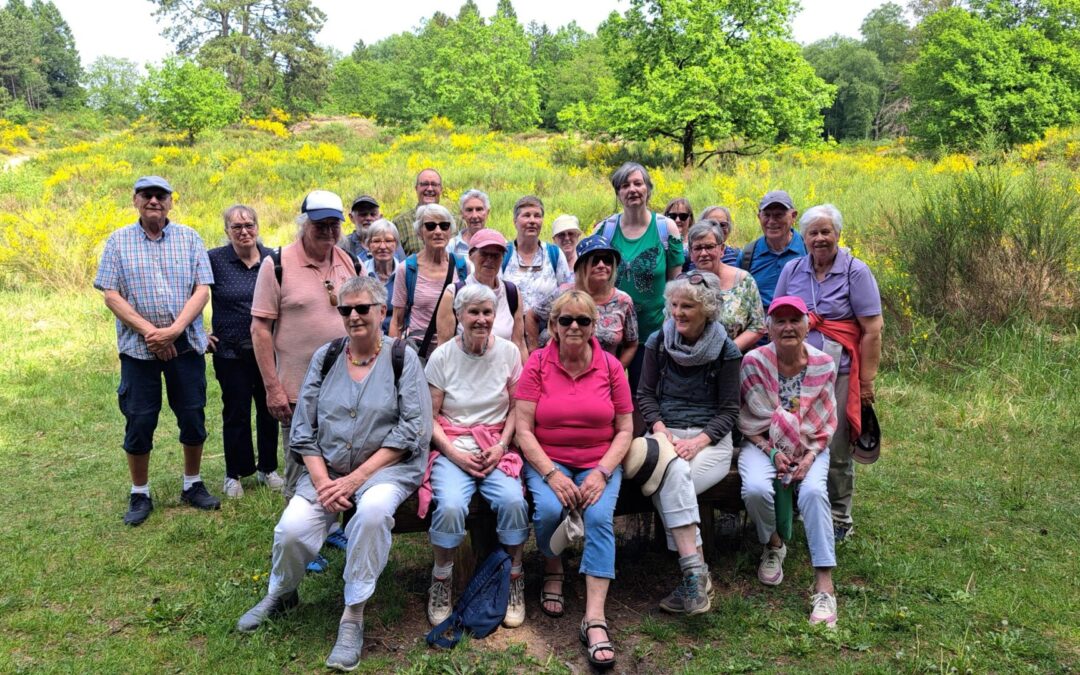 Gelungener Pfingstspaziergang: Die Aktivgruppe des SoVD Itzehoe entdeckt die Nordoer Heide