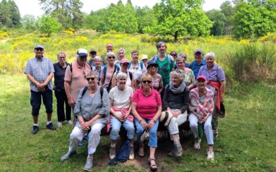 Gelungener Pfingstspaziergang: Die Aktivgruppe des SoVD Itzehoe entdeckt die Nordoer Heide