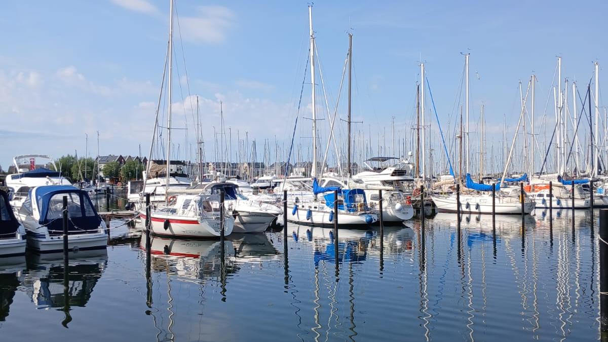 IMG-20260630-WA0007.edit