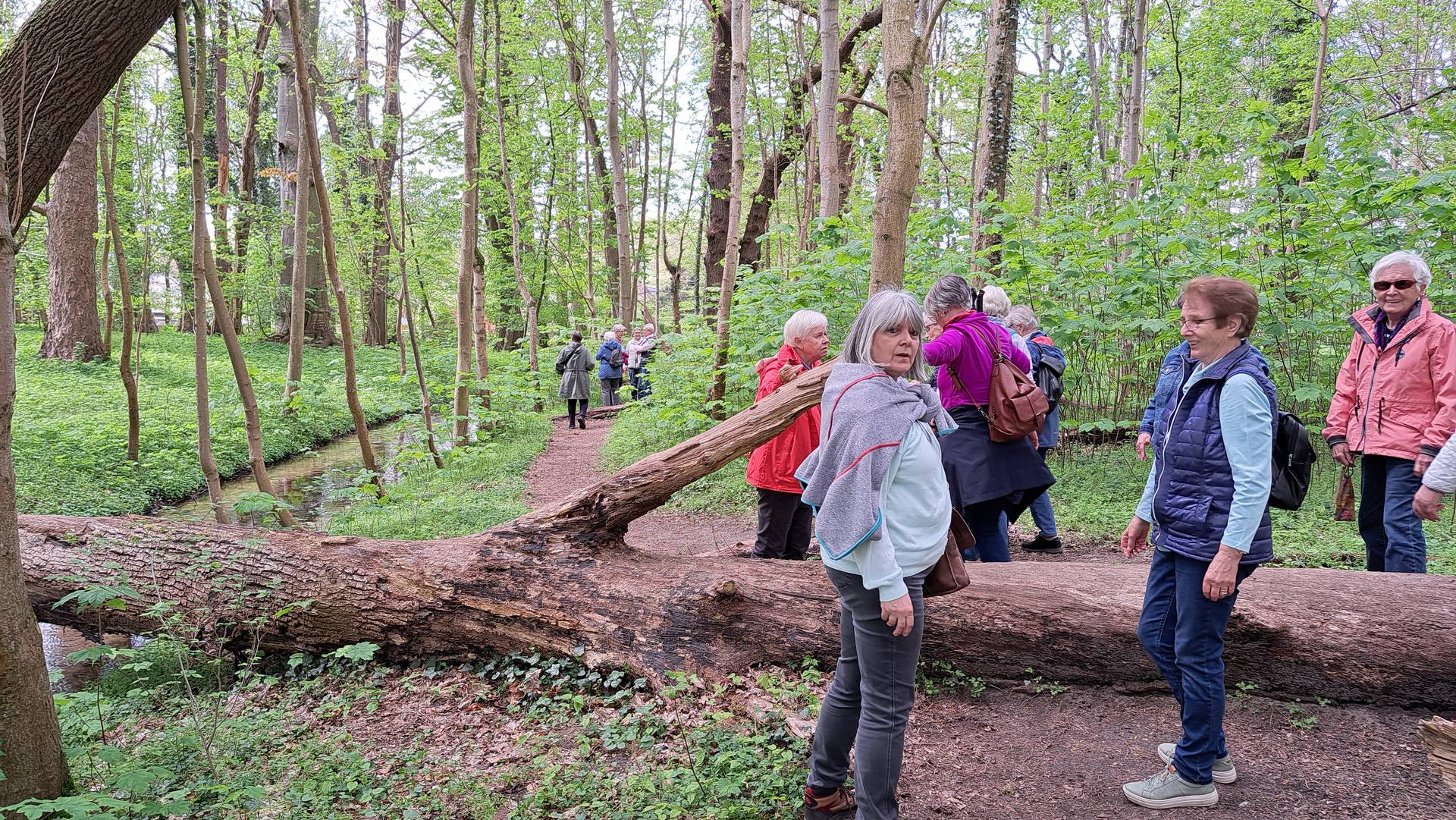fruehlingswanderung25.06